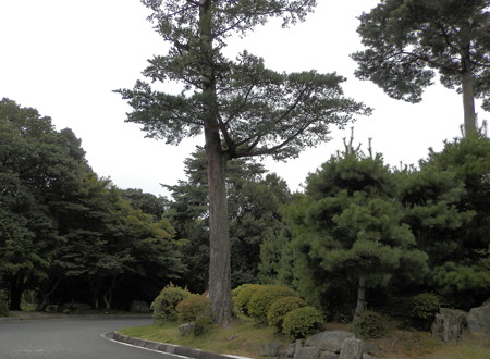 P9234371e