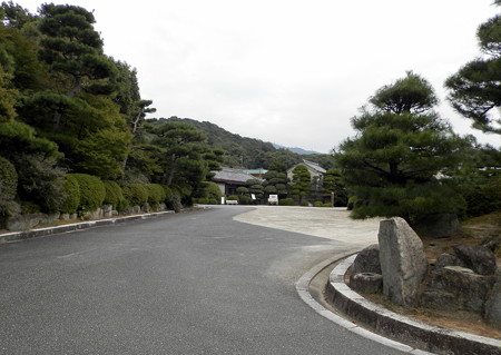 P9234372e