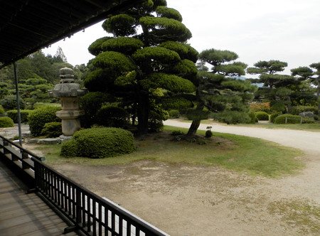 P9234383e