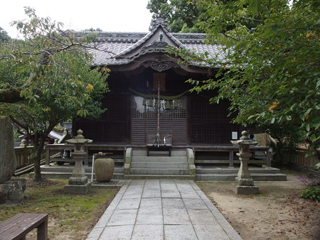 P9215368
