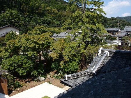 PA046063