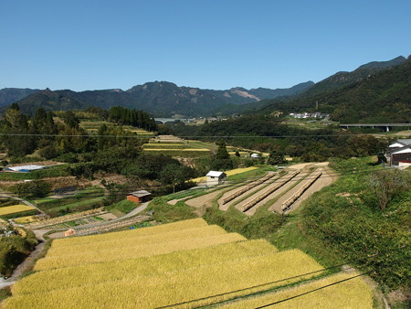 PA176349