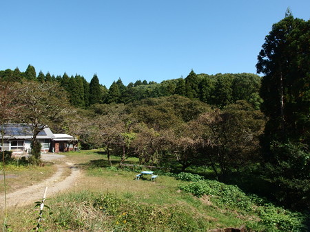 PA186380