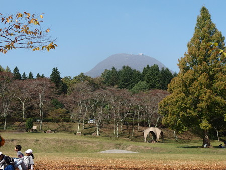 PA236483