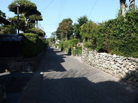 PA256914