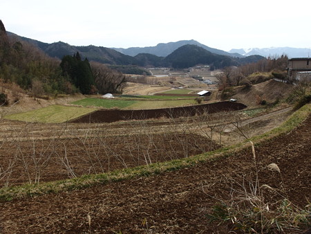 P1270989