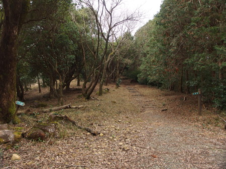 P1311005