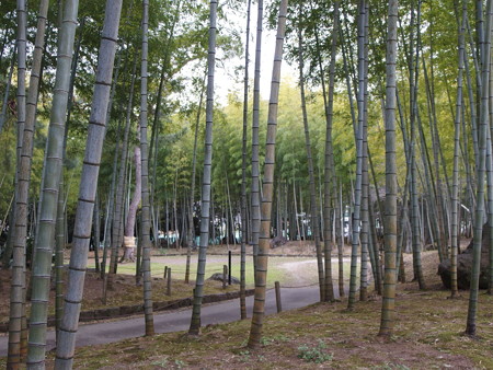 P2071162
