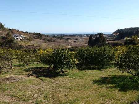 P2101206