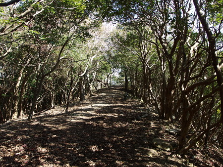 P2111266