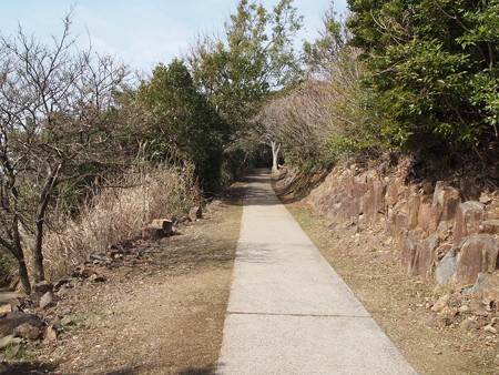 P2260210