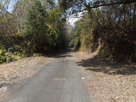 P2281404