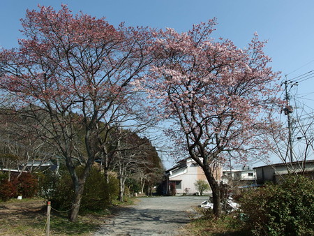 P2281428