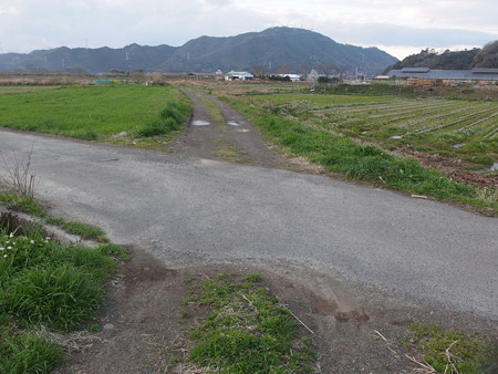 P3191723