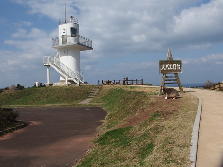 P3211949