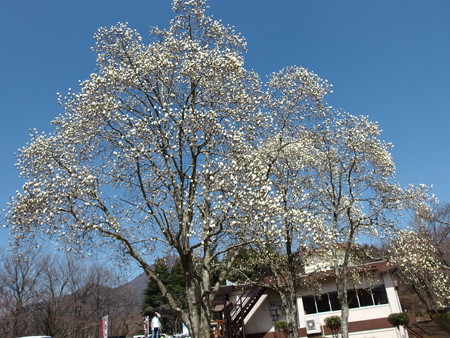 P3232065