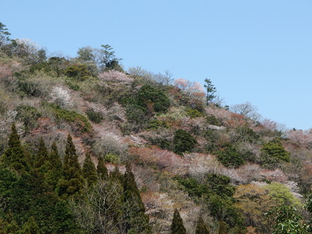 P3262101