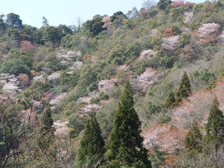 P3262107