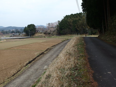 P3302266