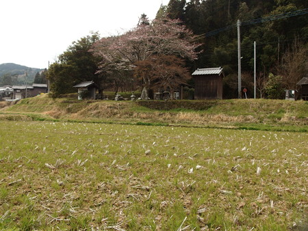 P3302277