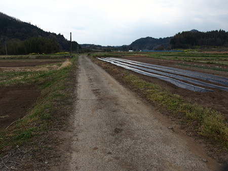 P3302280