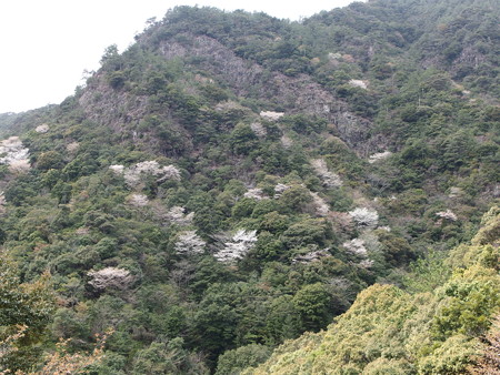 P4022382