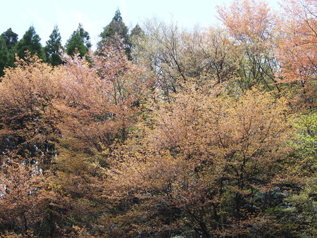 P4090511