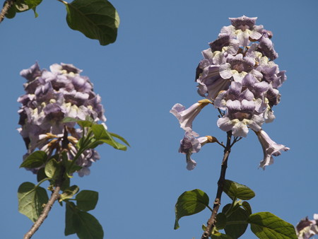 P4170869