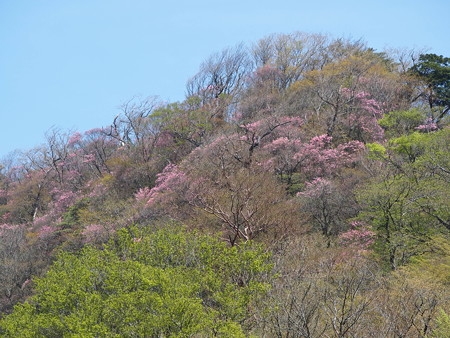 P4200929