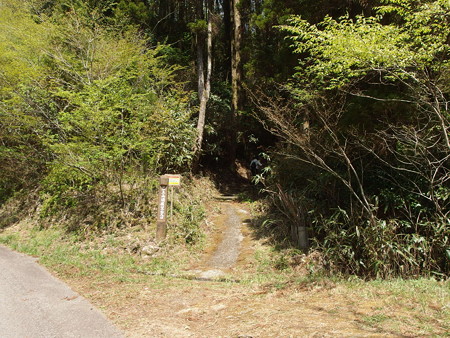 P4202869