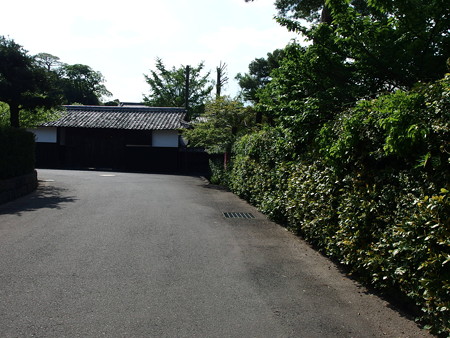 P4292983