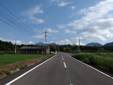 P4292994