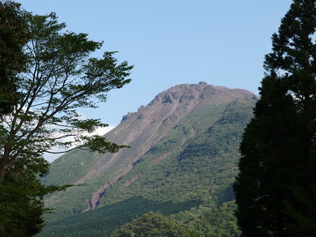 P4293000
