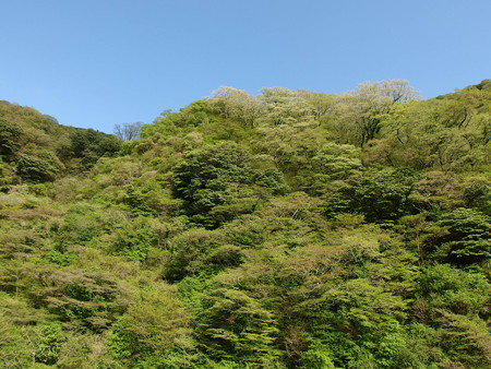 P4293007