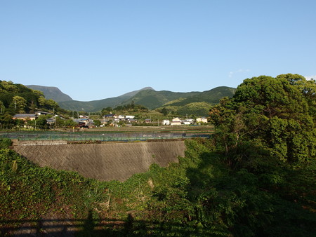 P4293023