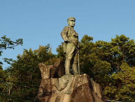 P4293039