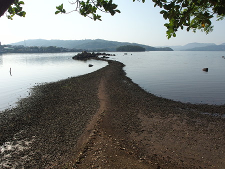 P4303064