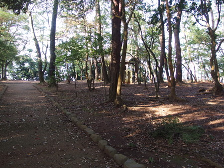 P4303075