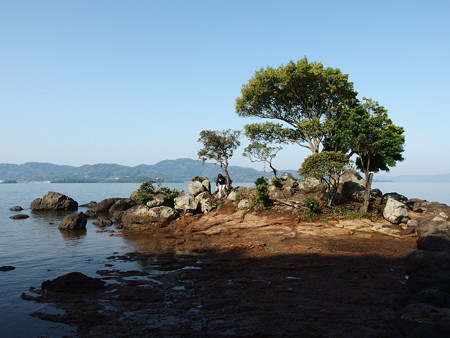 P4303084