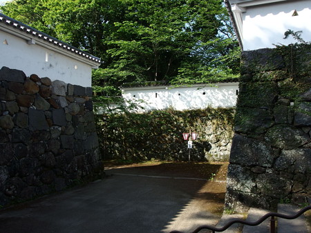 P4303117