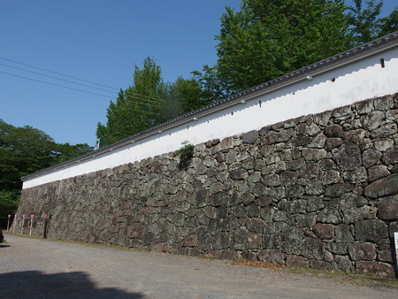 P4303120