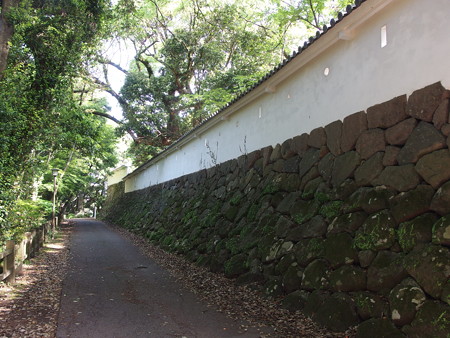 P4303150