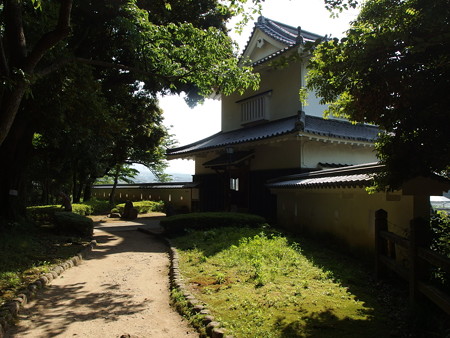 P4303167