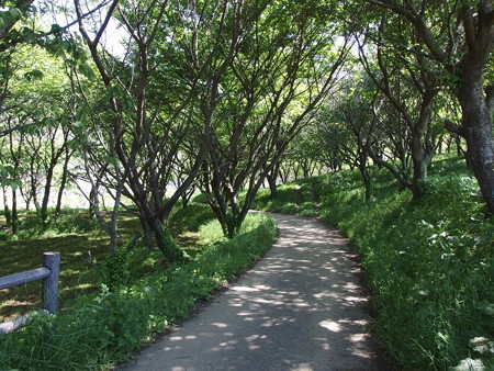 P5013361