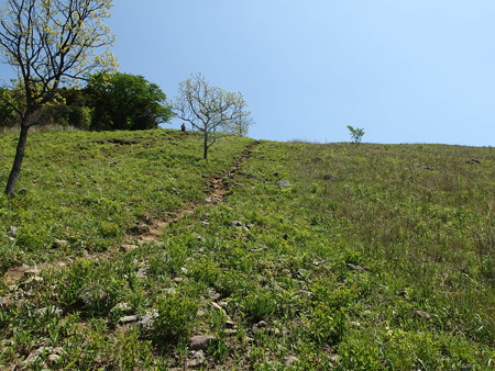 P5013399