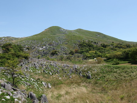 P5013424
