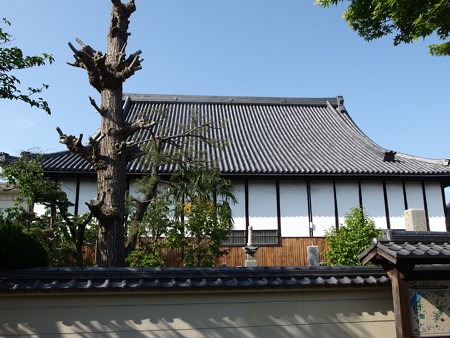 P5013498