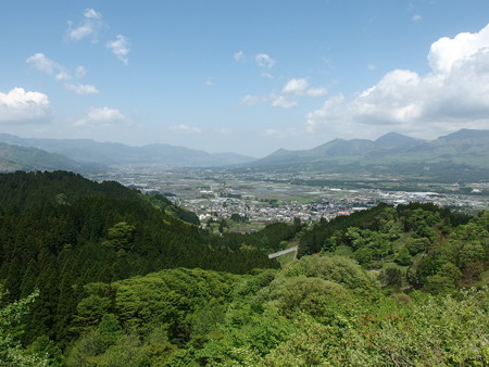 P5043558