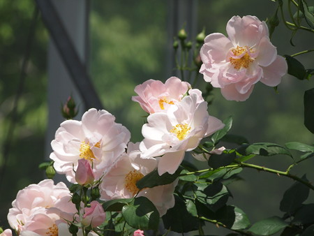 P5042818