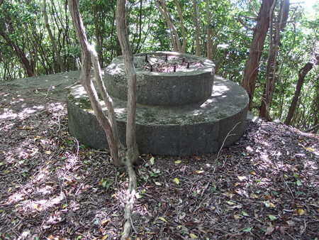 P5123691